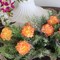 Artificial Carnation Picks, 5" Long, 3.5" Wide, Box of 200, Orange, Realistic Silk Flowers, Floral Picks, Parties & Events, Home & Office Decor, Floral Home by Artificial Flowers